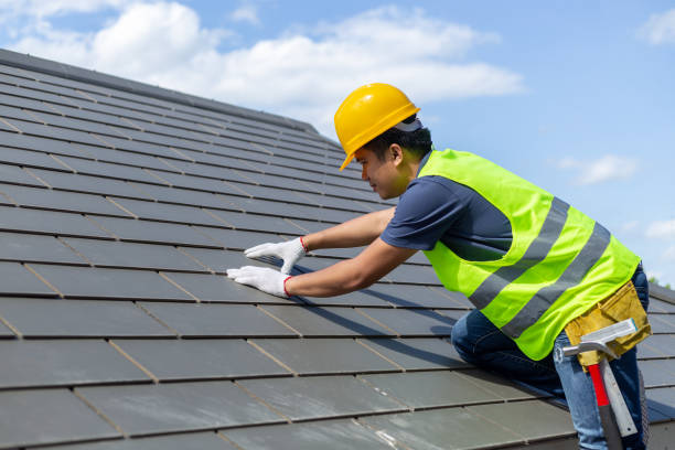 Best Roof Gutter Cleaning  in Peridot, AZ